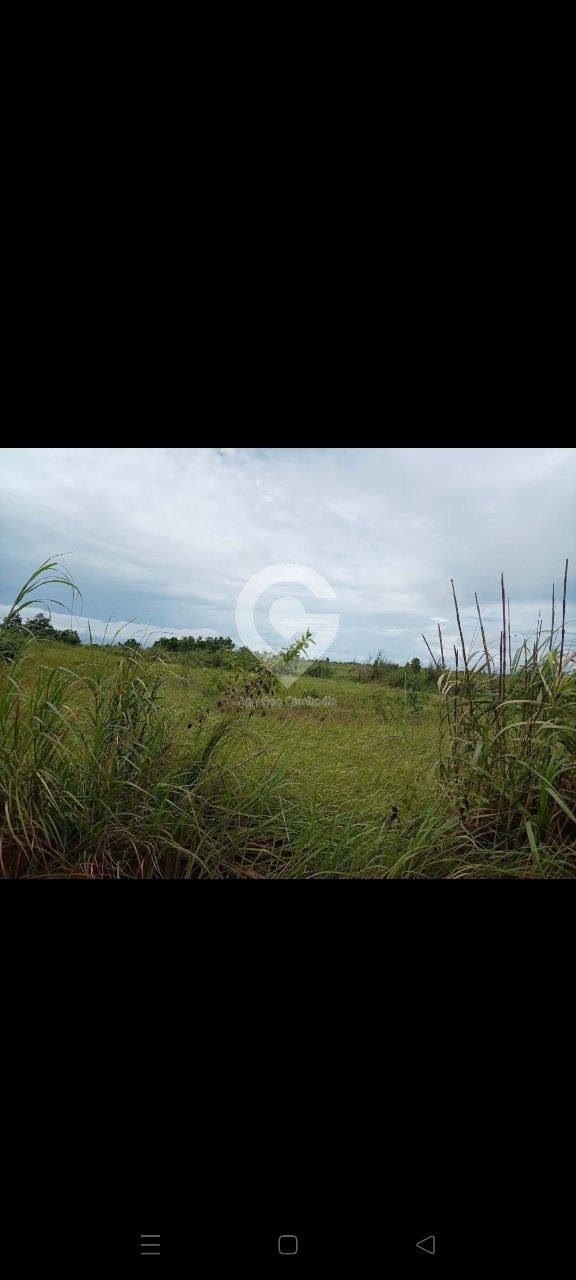 ដីនៅជិតឆ្នេរតាបារាំង